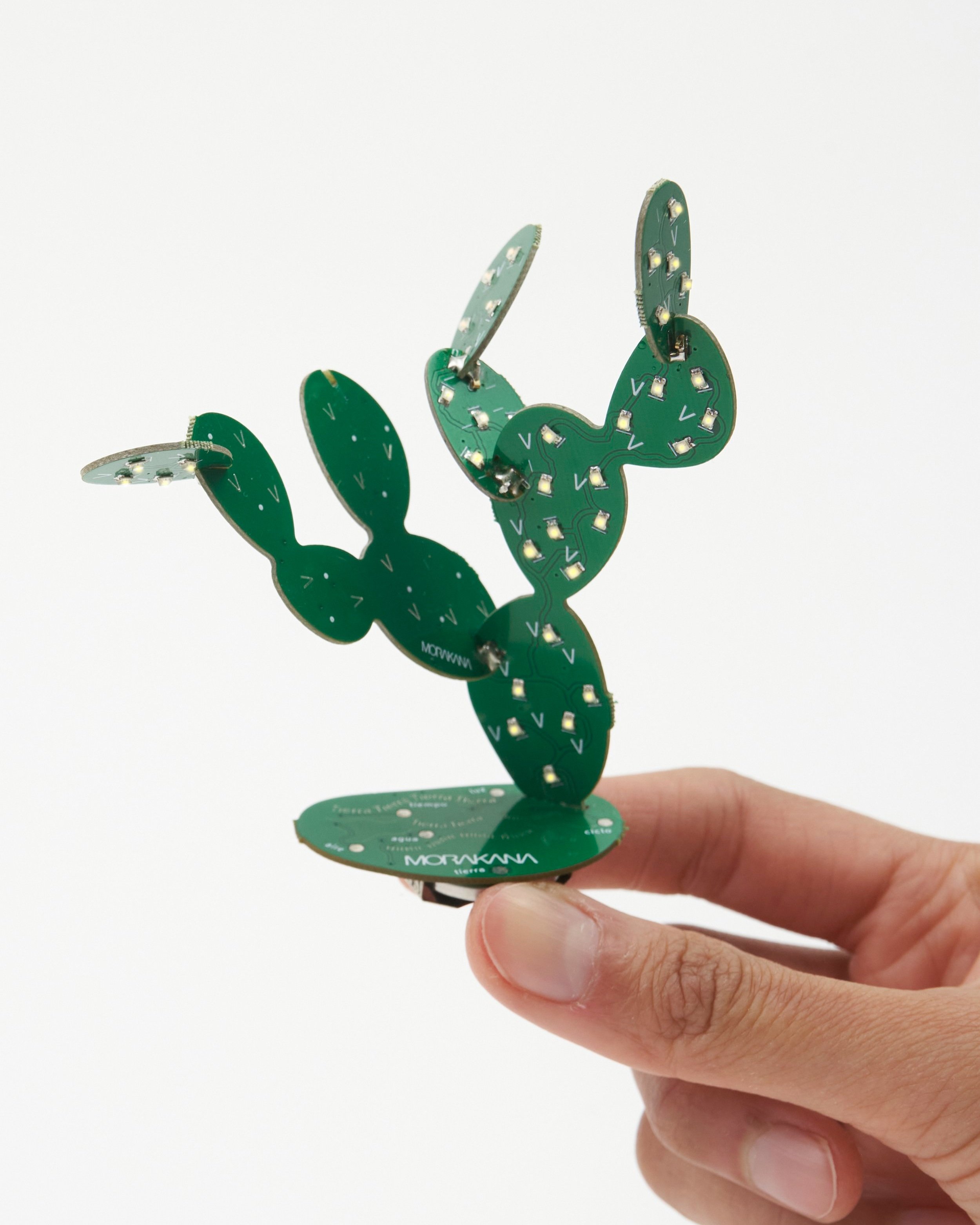 Nopales — MORAKANA